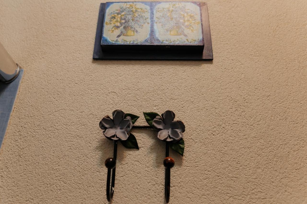 Hotel Pousada Chale Das Flores Sertãozinho 外观 照片